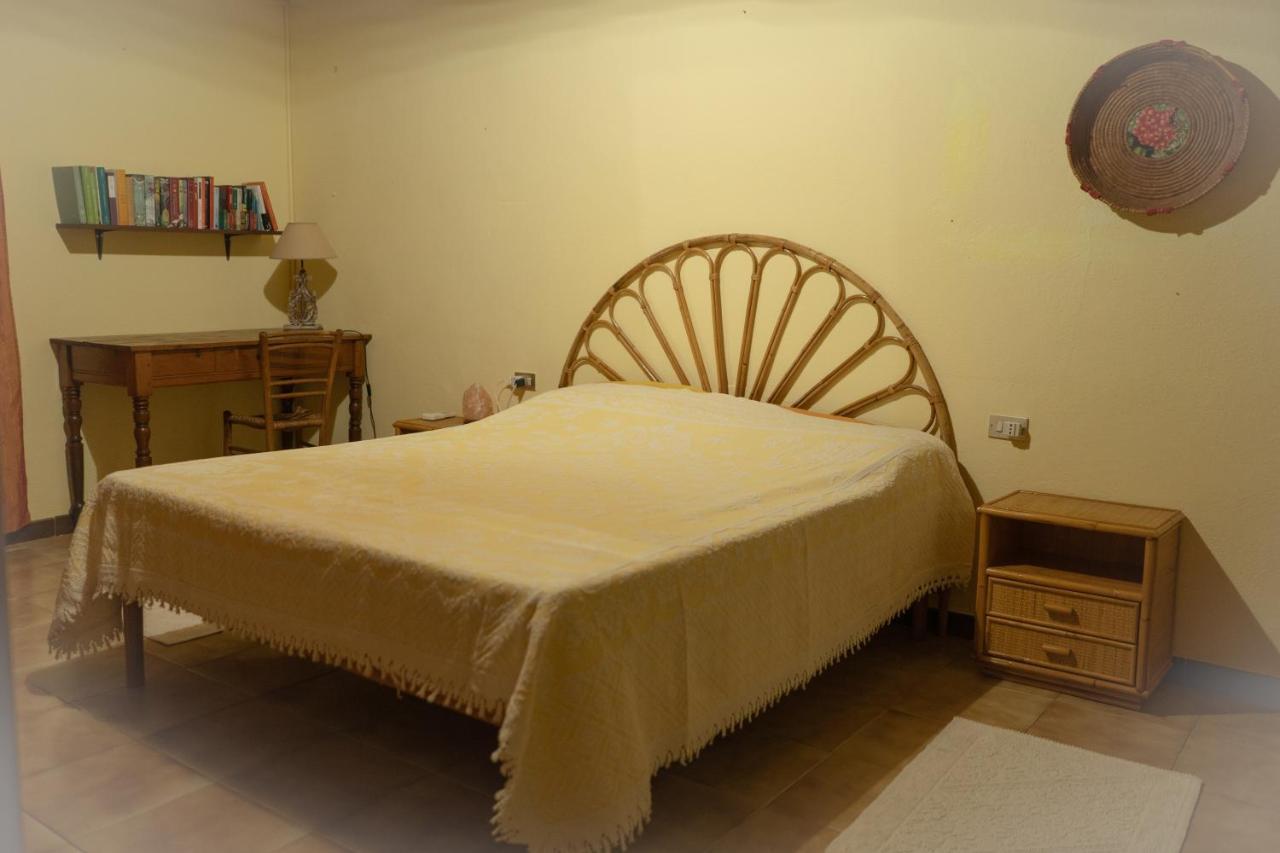 Sa Domu De Ladiri - Matrimoniale Con Giardino Bed & Breakfast Musei Dış mekan fotoğraf